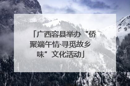 广西容县举办“侨聚端午情·寻觅故乡味”文化活动