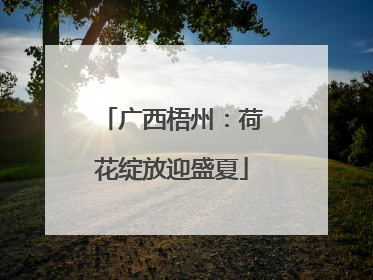 广西梧州：荷花绽放迎盛夏