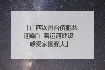 广西钦州台侨胞共迎端午 看运河建设感受家国强大