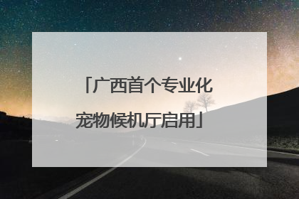 广西首个专业化宠物候机厅启用