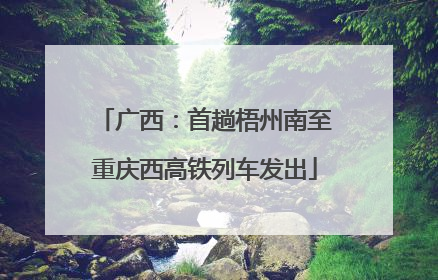 广西：首趟梧州南至重庆西高铁列车发出