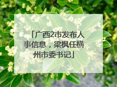 广西2市发布人事信息，梁枫任横州市委书记