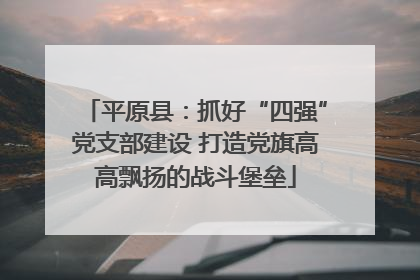 平原县：抓好“四强”党支部建设 打造党旗高高飘扬的战斗堡垒