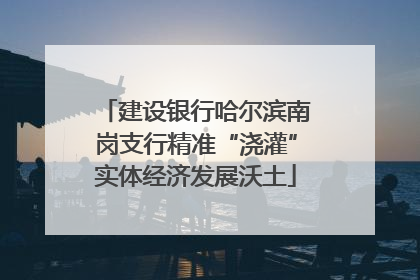 建设银行哈尔滨南岗支行精准“浇灌”实体经济发展沃土