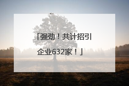 强劲！共计招引企业632家！