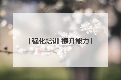 强化培训 提升能力
