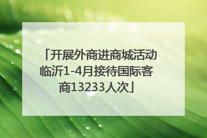 开展外商进商城活动 临沂1-4月接待国际客商13233人次