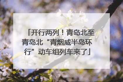 开行两列！青岛北至青岛北“青烟威半岛环行”动车组列车来了