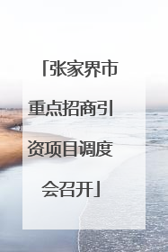 张家界市重点招商引资项目调度会召开