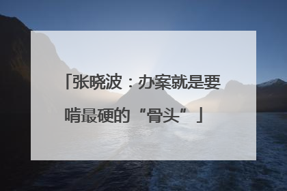 张晓波：办案就是要啃最硬的“骨头”