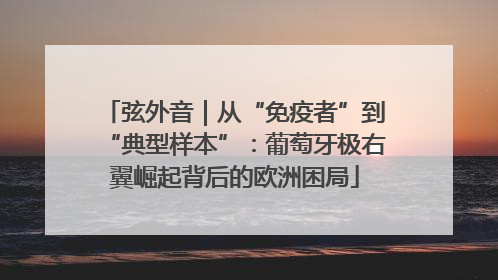 弦外音｜从“免疫者”到“典型样本”：葡萄牙极右翼崛起背后的欧洲困局