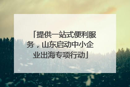提供一站式便利服务，山东启动中小企业出海专项行动
