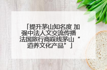 提升茅山知名度 加强中法人文交流传播 法国旅行商踩线茅山“道养文化产品”