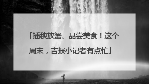 插秧放蟹、品尝美食！这个周末，吉报小记者有点忙