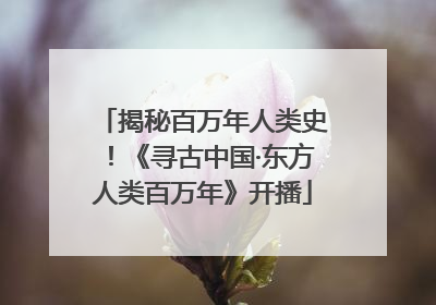 揭秘百万年人类史！《寻古中国·东方人类百万年》开播