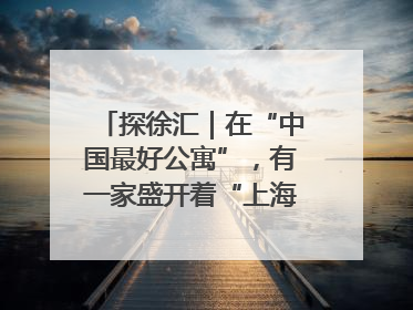 探徐汇｜在“中国最好公寓”，有一家盛开着“上海玫瑰”的书店