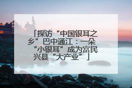 探访“中国银耳之乡”巴中通江：一朵“小银耳”成为富民兴县“大产业”
