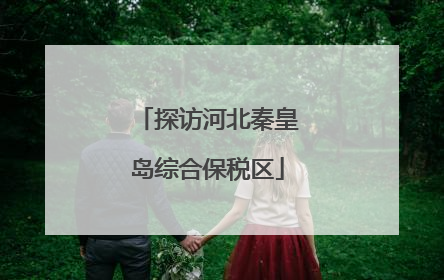 探访河北秦皇岛综合保税区