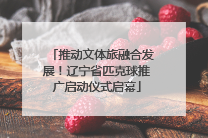 推动文体旅融合发展！辽宁省匹克球推广启动仪式启幕