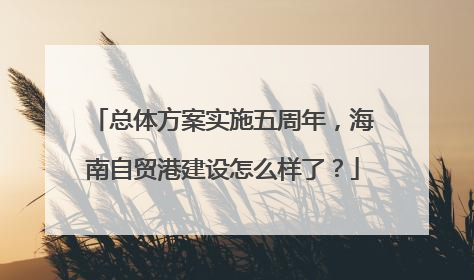 总体方案实施五周年，海南自贸港建设怎么样了？