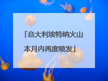 意大利埃特纳火山本月内再度喷发
