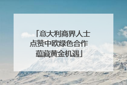 意大利商界人士点赞中欧绿色合作蕴藏黄金机遇