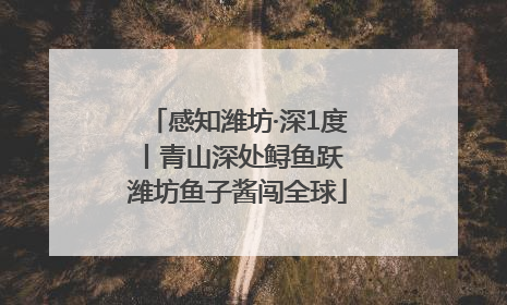 感知潍坊·深1度丨青山深处鲟鱼跃 潍坊鱼子酱闯全球