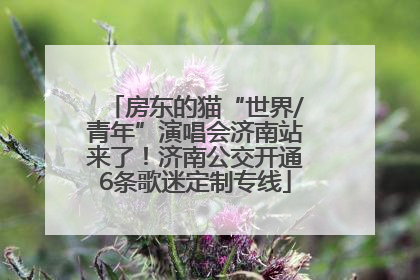 房东的猫“世界/青年”演唱会济南站来了！济南公交开通6条歌迷定制专线