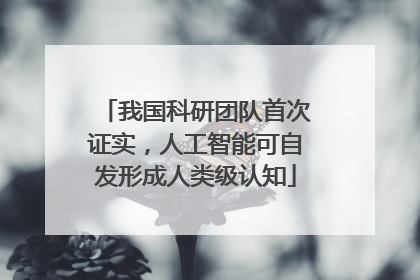我国科研团队首次证实，人工智能可自发形成人类级认知