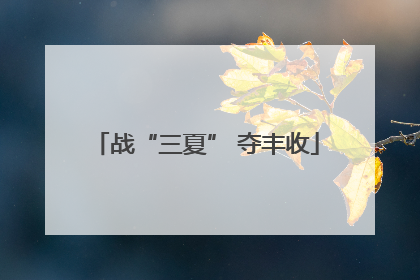 战“三夏” 夺丰收