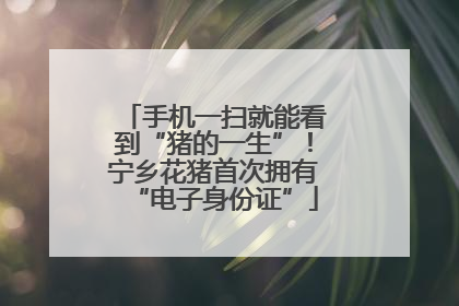 手机一扫就能看到“猪的一生”！宁乡花猪首次拥有“电子身份证”