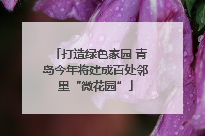 打造绿色家园 青岛今年将建成百处邻里“微花园”