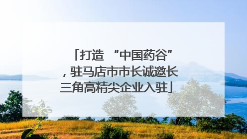 打造 “中国药谷”，驻马店市市长诚邀长三角高精尖企业入驻