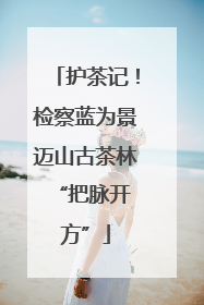 护茶记！检察蓝为景迈山古茶林 “把脉开方”
