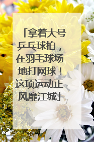 拿着大号乒乓球拍，在羽毛球场地打网球！这项运动正风靡江城