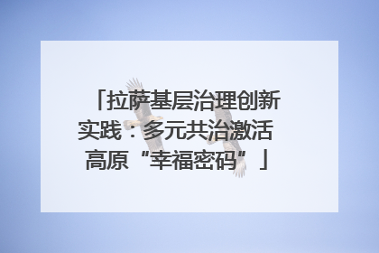 拉萨基层治理创新实践：多元共治激活高原“幸福密码”