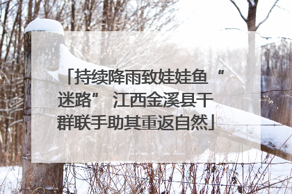 持续降雨致娃娃鱼“迷路” 江西金溪县干群联手助其重返自然