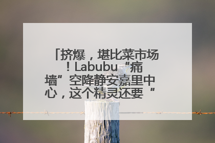 挤爆，堪比菜市场！Labubu“痛墙”空降静安嘉里中心，这个精灵还要“突袭”便利店？