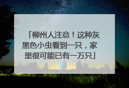 柳州人注意！这种灰黑色小虫看到一只，家里很可能已有一万只