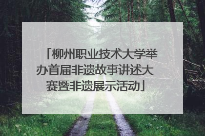 柳州职业技术大学举办首届非遗故事讲述大赛暨非遗展示活动