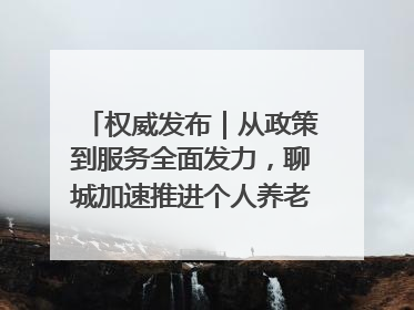 权威发布｜从政策到服务全面发力，聊城加速推进个人养老金制度落地