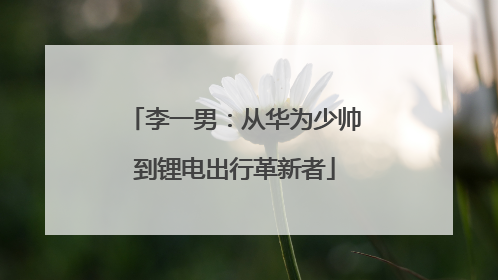 李一男：从华为少帅到锂电出行革新者
