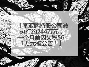 李亚鹏持股公司被执行约244万元，一个月前因欠税561万元被公告！