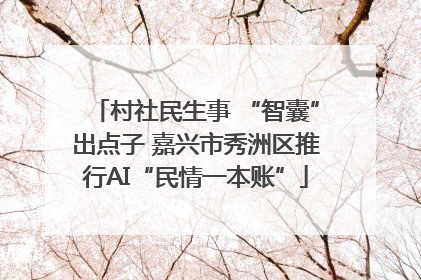 村社民生事 “智囊”出点子 嘉兴市秀洲区推行AI“民情一本账”