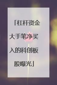 杠杆资金大手笔净买入的科创板股曝光