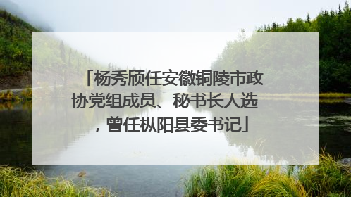 杨秀颀任安徽铜陵市政协党组成员、秘书长人选，曾任枞阳县委书记