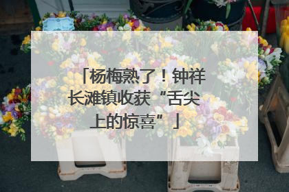 杨梅熟了！钟祥长滩镇收获“舌尖上的惊喜”