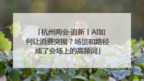 杭州两会·追新丨AI如何让消费突围？场景和路径成了会场上的高频词