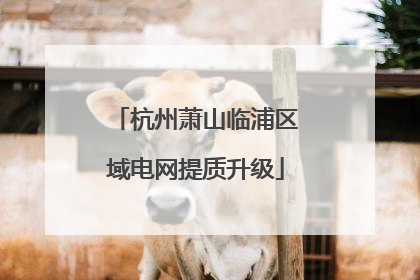杭州萧山临浦区域电网提质升级