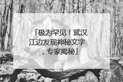 极为罕见！武汉江边发现神秘文字，专家揭秘